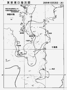 東京湾口海況図(2009/10/28)