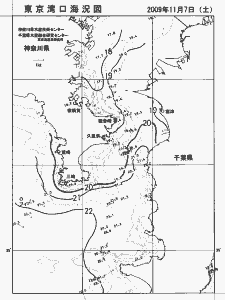 東京湾口海況図(2009/11/07)