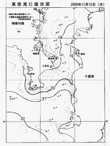 東京湾口海況図(2009/11/12)