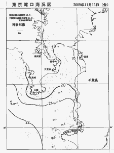 東京湾口海況図(2009/11/13)