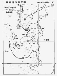 東京湾口海況図(2009/11/17)