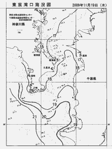 東京湾口海況図(2009/11/19)