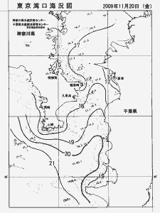 東京湾口海況図(2009/11/20)