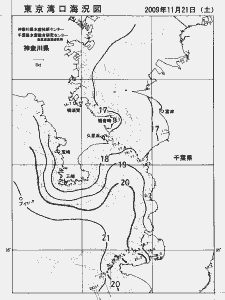 東京湾口海況図(2009/11/21)