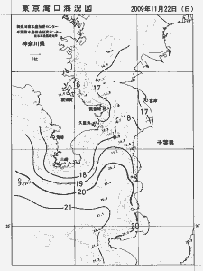 東京湾口海況図(2009/11/22)
