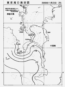 東京湾口海況図(2009/11/23)