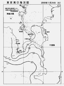 東京湾口海況図(2009/11/24)