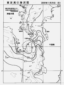東京湾口海況図(2009/11/29)
