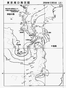 東京湾口海況図(2009/12/05)