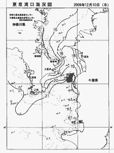 東京湾口海況図(2009/12/10)