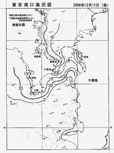 東京湾口海況図(2009/12/11)