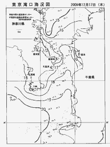 東京湾口海況図(2009/12/17)