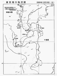 東京湾口海況図(2009/12/19)