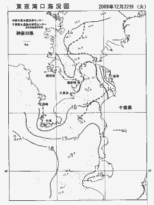 東京湾口海況図(2009/12/22)