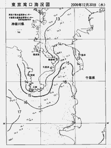 東京湾口海況図(2009/12/30)