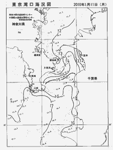 東京湾口海況図(2010/01/11)