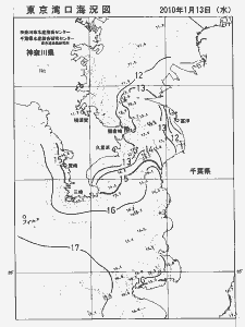 東京湾口海況図(2010/01/13)