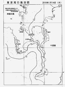 東京湾口海況図(2010/01/14)