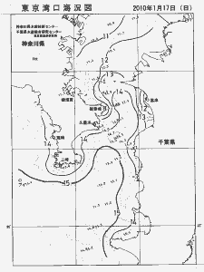 東京湾口海況図(2010/01/17)
