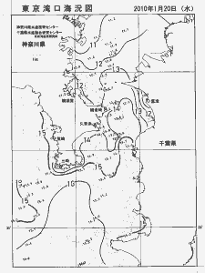 東京湾口海況図(2010/01/20)