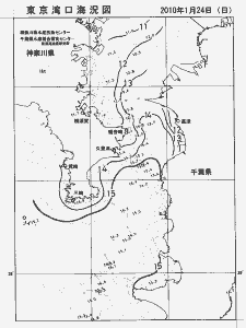 東京湾口海況図(2010/01/24)