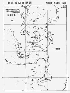 東京湾口海況図(2010/01/26)