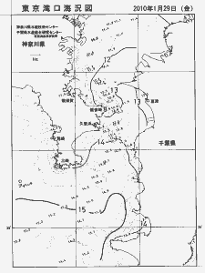 東京湾口海況図(2010/01/29)
