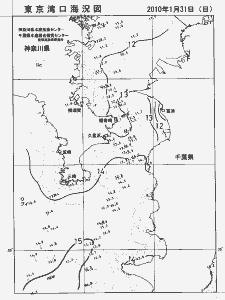 東京湾口海況図(2010/01/31)
