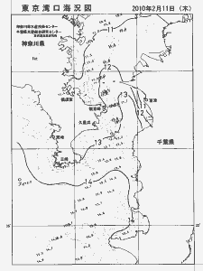 東京湾口海況図(2010/02/11)