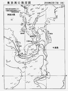 東京湾口海況図(2010/02/17)