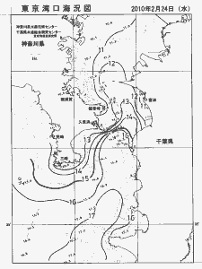 東京湾口海況図(2010/02/24)