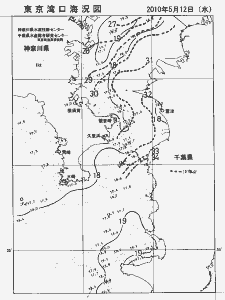 東京湾口海況図(2010/05/12)