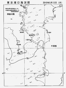 東京湾口海況図(2010/05/13)