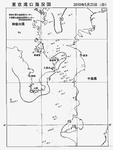 東京湾口海況図(2010/05/23)