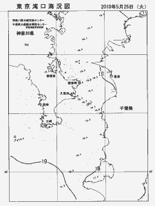 東京湾口海況図(2010/05/25)