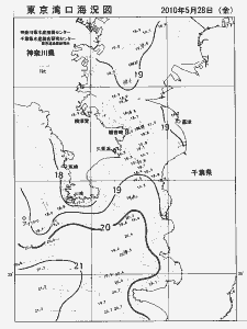 東京湾口海況図(2010/05/28)