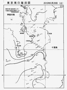 東京湾口海況図(2010/05/29)