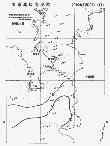 東京湾口海況図(2010/05/30)