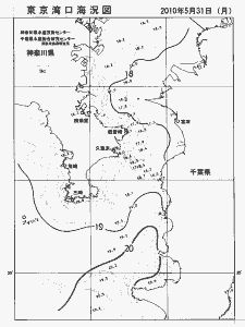 東京湾口海況図(2010/05/31)