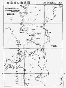 東京湾口海況図(2010/06/03)