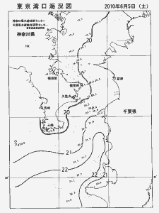 東京湾口海況図(2010/06/05)