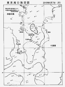 東京湾口海況図(2010/06/07)