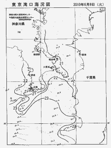 東京湾口海況図(2010/06/08)