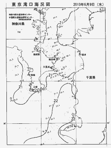 東京湾口海況図(2010/06/09)