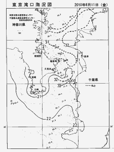 東京湾口海況図(2010/06/11)