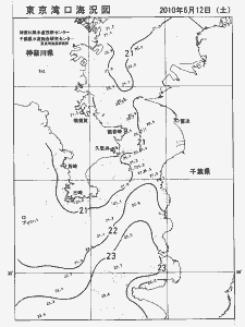 東京湾口海況図(2010/06/12)