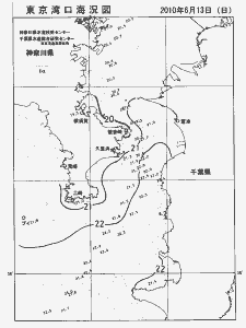 東京湾口海況図(2010/06/13)