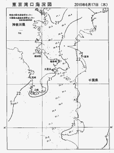 東京湾口海況図(2010/06/17)