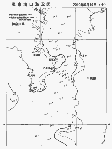 東京湾口海況図(2010/06/19)