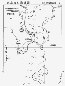 東京湾口海況図(2010/06/20)